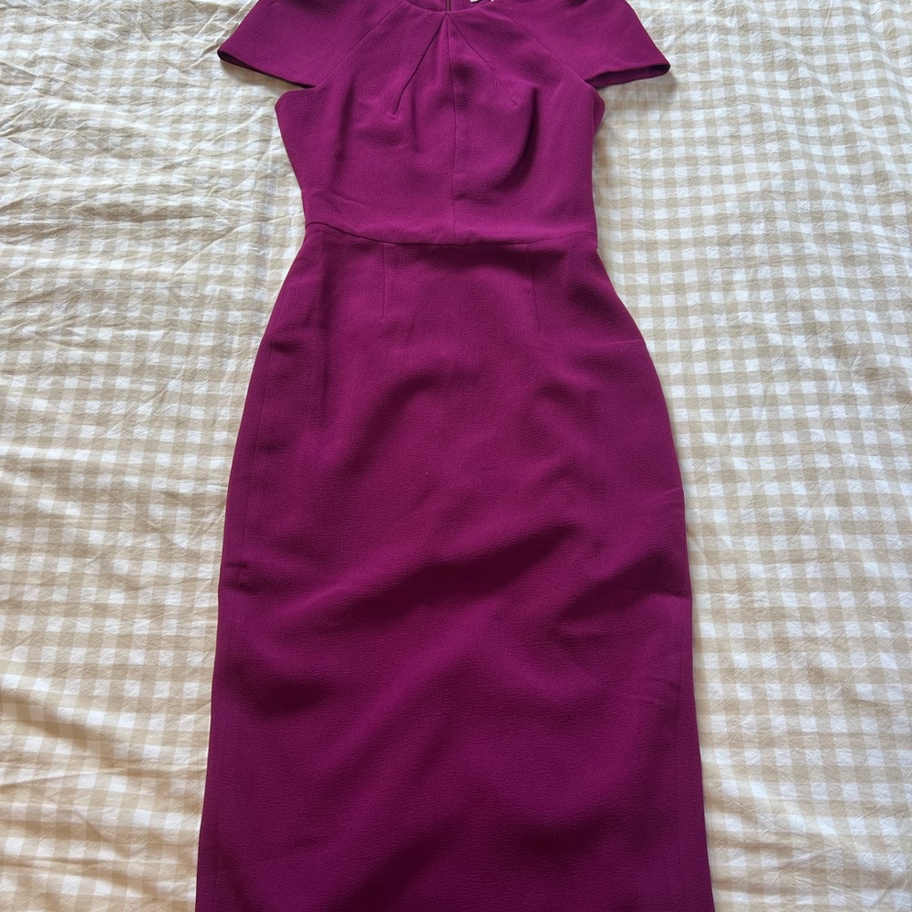 Fitted Berry Formal Dress
